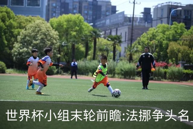 世界杯小组末轮前瞻:法挪争头名 西班牙仍不稳