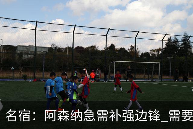 名宿：阿森纳急需补强边锋 需要出售队中冗员 但不能放走特罗萨德